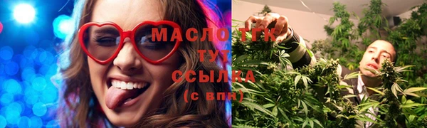 прущие грибы Алзамай