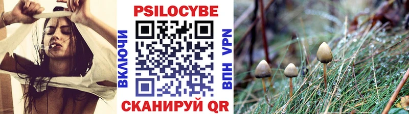 Псилоцибиновые грибы Magic Shrooms  где продают   Сортавала 